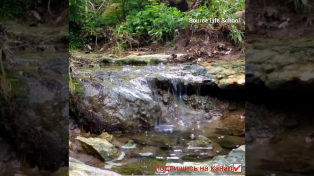 Магическая исцеляющая музыка. Очищает от негатива смотреть онлайн