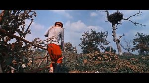 М.Распутина "Мальчики - хулиганчики" - "Свадьба в Малиновке"