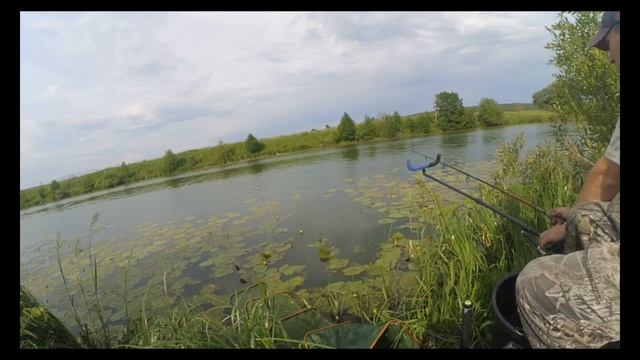 Озеро Горское Калужской области. Рыбалка на фидер, июнь 2019 смотреть онлайн