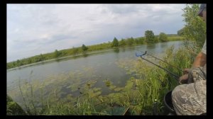 Озеро Горское Калужской области. Рыбалка на фидер, июнь 2019