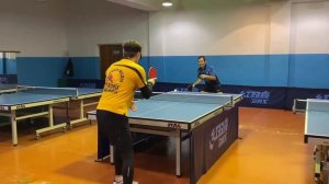 Настольный теннис. Обзор-сравнение ALC оснований Yinhe Pro-01 vs Butterfly Viscaria