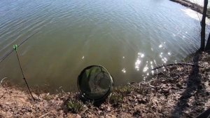 ПОПАЛ НА ВЕСЕННИЙ КЛЁВ карася! Рыбалка на маховую удочку в апреле 2022