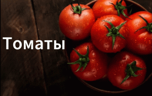 Как сажать томаты(помидоры) в открытый грунт. Как высаживать помидоры(томаты).