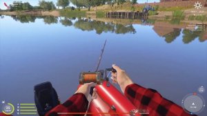 ТРОФЕЙНЫЙ СОМ РУССКАЯ РЫБАЛКА 4