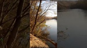 Особенности Некрасовской рыбалки)