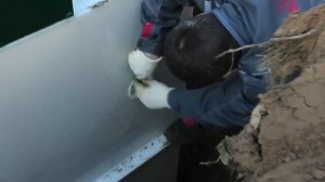 Монтаж септика Юнилос Астра - 8 | Шефмонтаж септика Астра