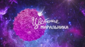 Праздник "Цветение маральника" 2018