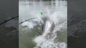 Рыбалка в Сангарах!!! Якутия