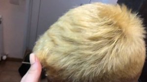 ИЗ ТЕМНОГО В БЛОНД? ОБЕСЦВЕЧИВАНИЕ МУЖСКИХ ВОЛОС