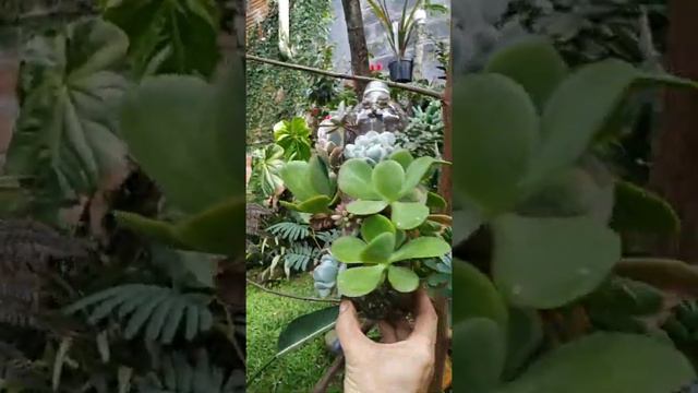 18 de junio de 2020 смотреть онлайн