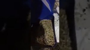 Линия гранулирования соломы 1 тч  Соломорезка