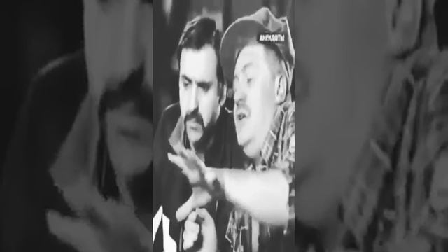 анекдот про вадителя