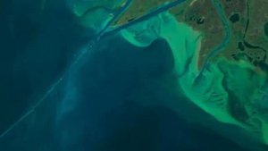 Самые ДРЕВНИЕ ЖИВОТНЫЕ Земли. Доисторические животные!