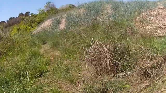 Blatno kokiche.MP4 смотреть онлайн