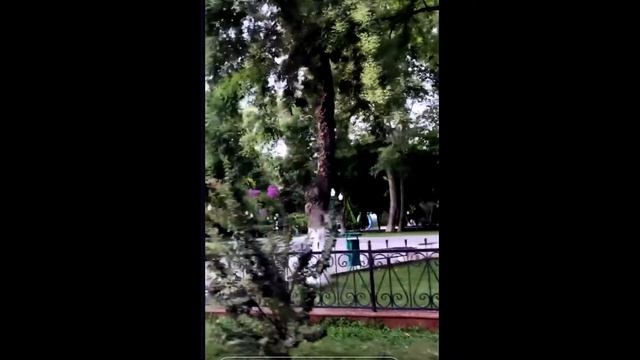 Екатерина Пирожкова  Сторис 3 Instagram @ekaterinapirozhkova rg 30 06 2020 смотреть онлайн