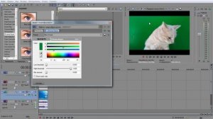 Замена зеленого фона в Sony Vegas Pro, Хромакей