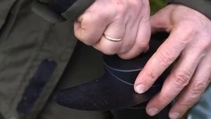 Когда лучше ловить щуку на кружки