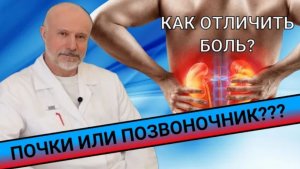 ПОЧКИ ИЛИ ПОЗВОНОЧНИК Что болит?