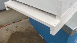 Улей Кука , подкормка пчёлосимей , снежный шторм ?