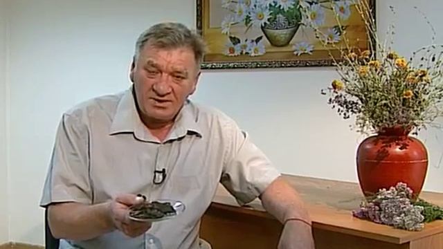 Майн Совет Чем полезен березовый луб смотреть онлайн