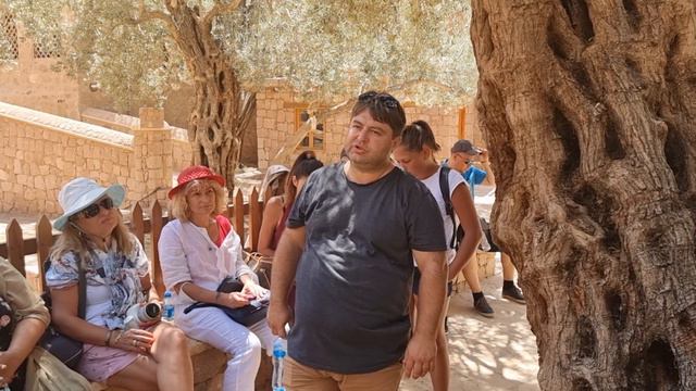 Манастирът Св. Екатерина в Египет привлича българите смотреть онлайн