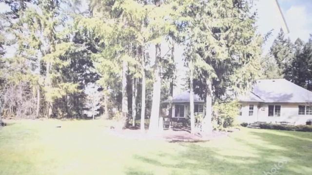 Сказки Сутеева. Рассказывает Эвелина смотреть онлайн