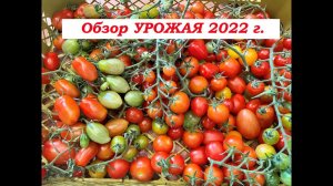 Обзор УРОЖАЯ 2022 г.