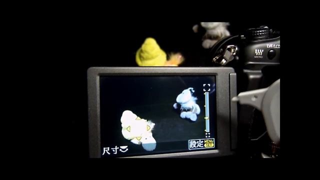 Panasonic Lumix DMC-G2 Touch AF Demo смотреть онлайн