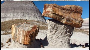 Древние терриконы с отработанным бурым углем окаменелые деревья тому доказательство