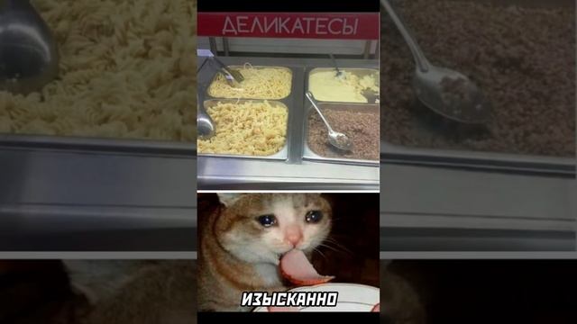 #мемы#мем#мемчик смотреть онлайн