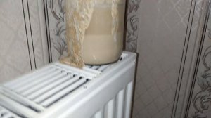 #аминокислоты своими руками,приготовил и начал использовать #эксперимент #комнатныецветы #цветы