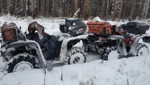 Охота на соболя капканами Квадроциклетный сезон