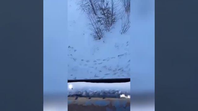 Приколы - 005.mp4