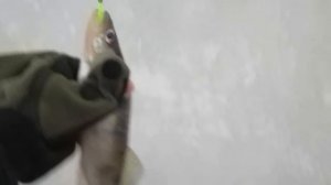 Как ловить на раттлин? Плюсы и минусы раттлина, удобная коробка. Раттлин на судака