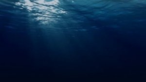 /Она плавает в формалине?/