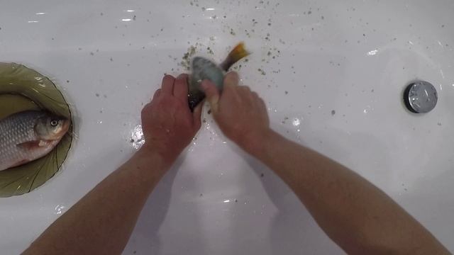 РЫБОЧИСТКА С ОТСЕКОМ ДЛЯ СБОРА ЧЕШУИ | ТЕСТ РЫБОЧИСТКИ,СПРАВИТСЯ,ИЛИ НЕТ ? смотреть онлайн