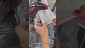 Аиртач по теории щелочности. Короткий видеоурок для колористов