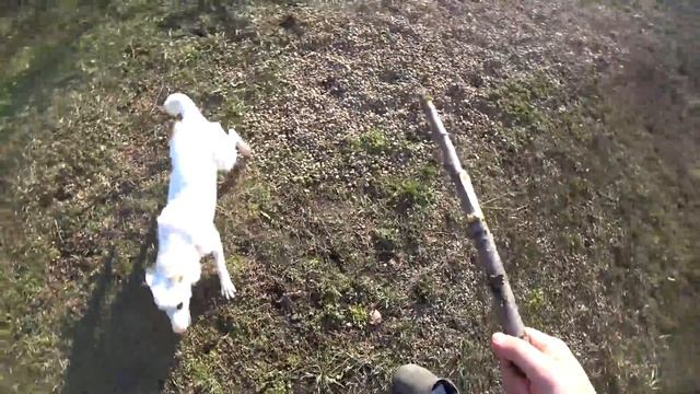 МНОГО ДЕЛ И РАДОСТИ. Во дворе доме на закате дня. Влог 18 марта смотреть онлайн