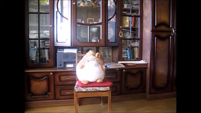 Поевление белки Вики смотреть онлайн