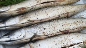 Шашлык из скумбрии