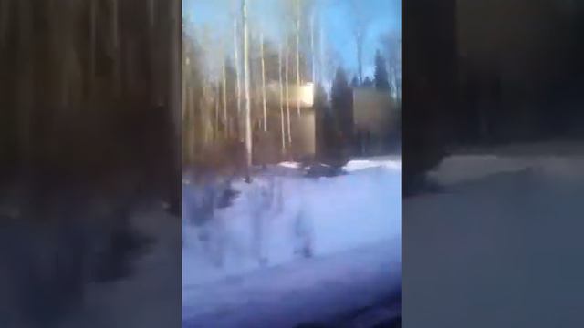 Электропоезд. Лодейное Поле- Волховстрой