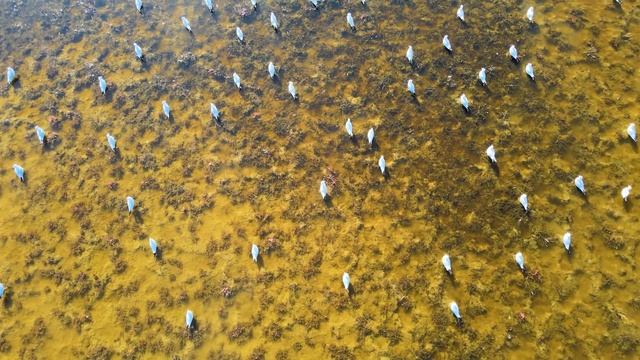 Безмятежность Священного Ветра . Медитация на флейте коренных американцев для гармонии