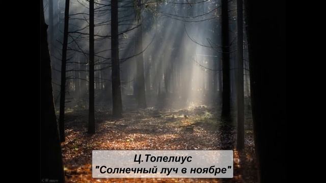 Ц. Топелиус "Солнечный луч в ноябре" (пересказ А.Любарской) смотреть онлайн