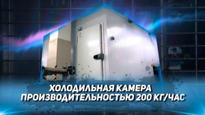 Холодильная камера. Промышленное холодильное оборудование.  Конвейерные системы.
