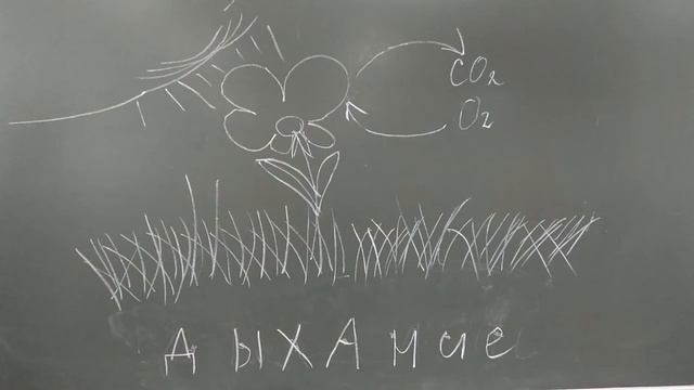 профессия будущего агроном