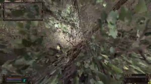 S.T.A.L.K.E.R.  Тайник Кости на Агропроме в очаге радиации