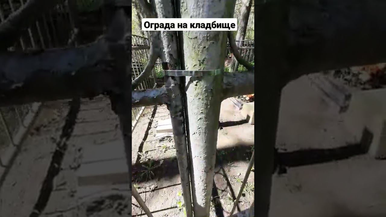 Лайфхак для кладбища, если отвалилась дверь на ограде смотреть онлайн