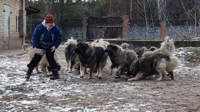 4 февраля 2023 г. смотреть онлайн