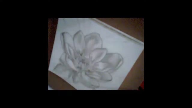 Flower Pencil Art Drawing Magnolia Original Graphite Portrait by Sarahmaryi смотреть онлайн