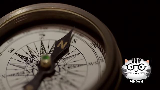 Перелетные птицы | Анимация смотреть онлайн